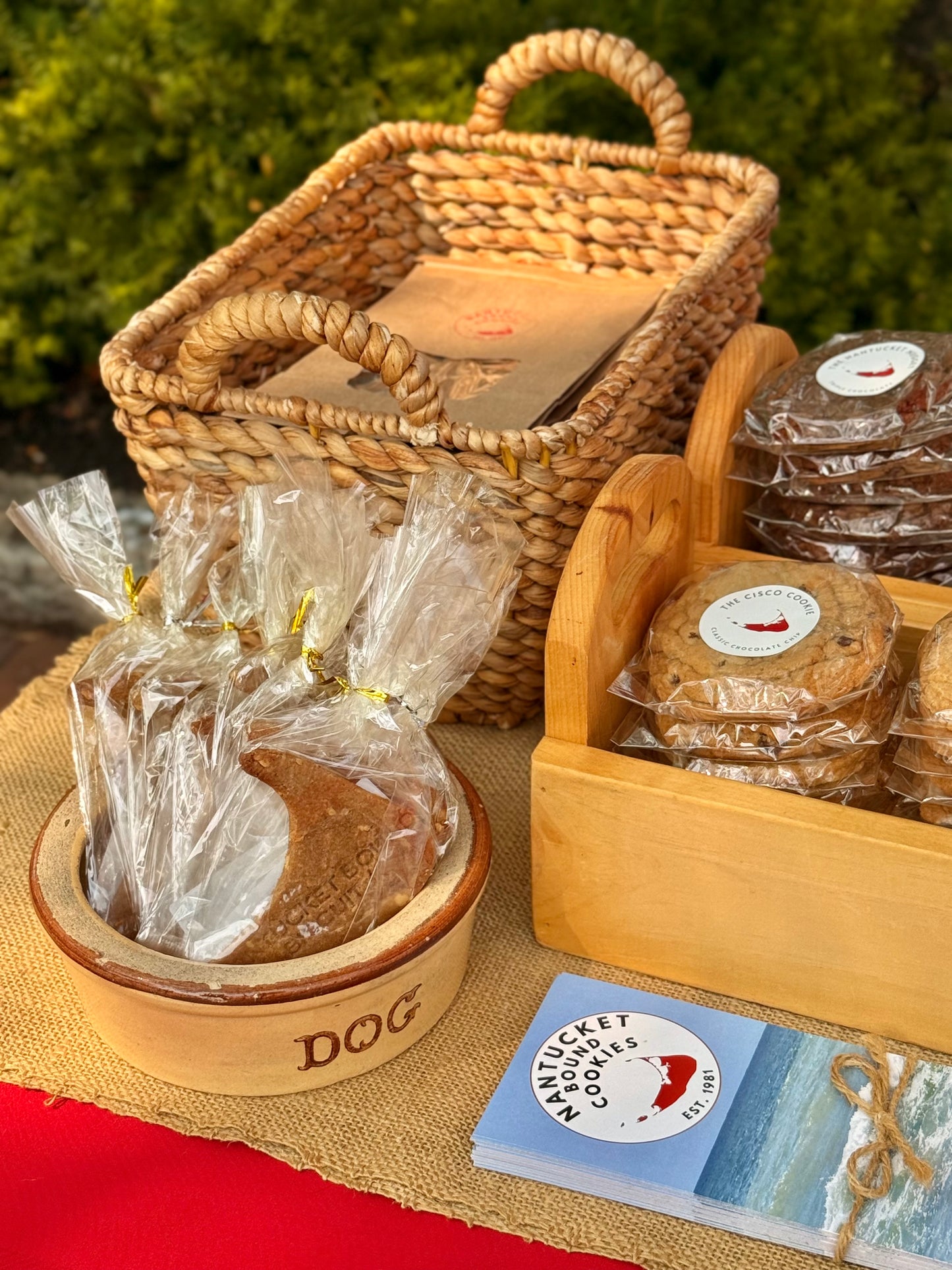 Nantucket Bound Biscuits