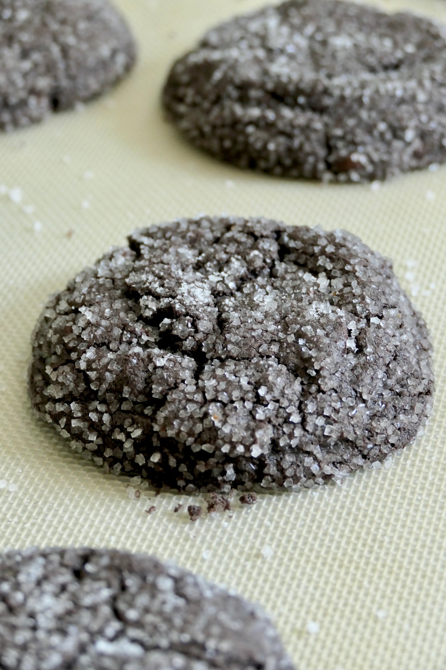 The Shimmo Cookie