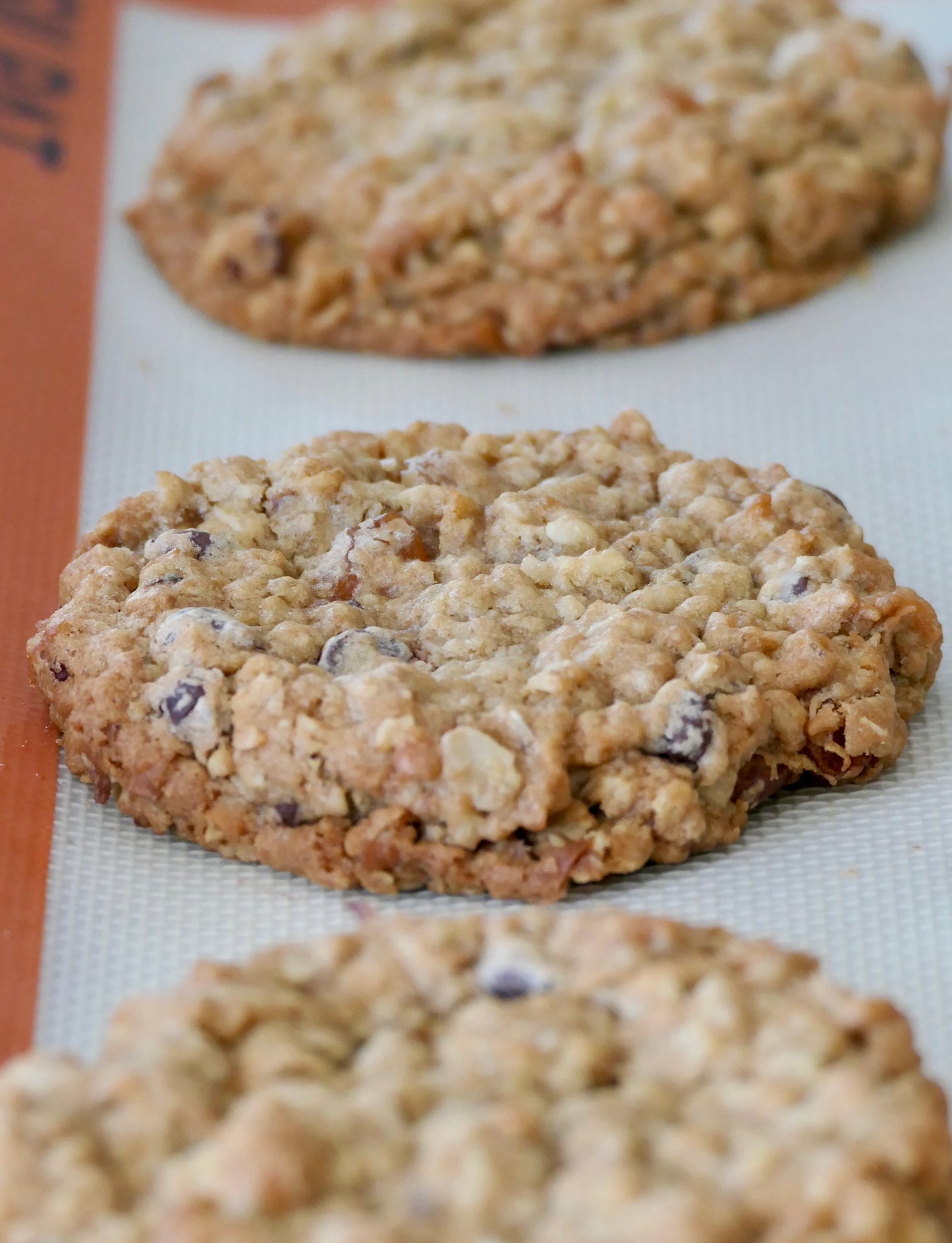 The Original Sconset Cookie