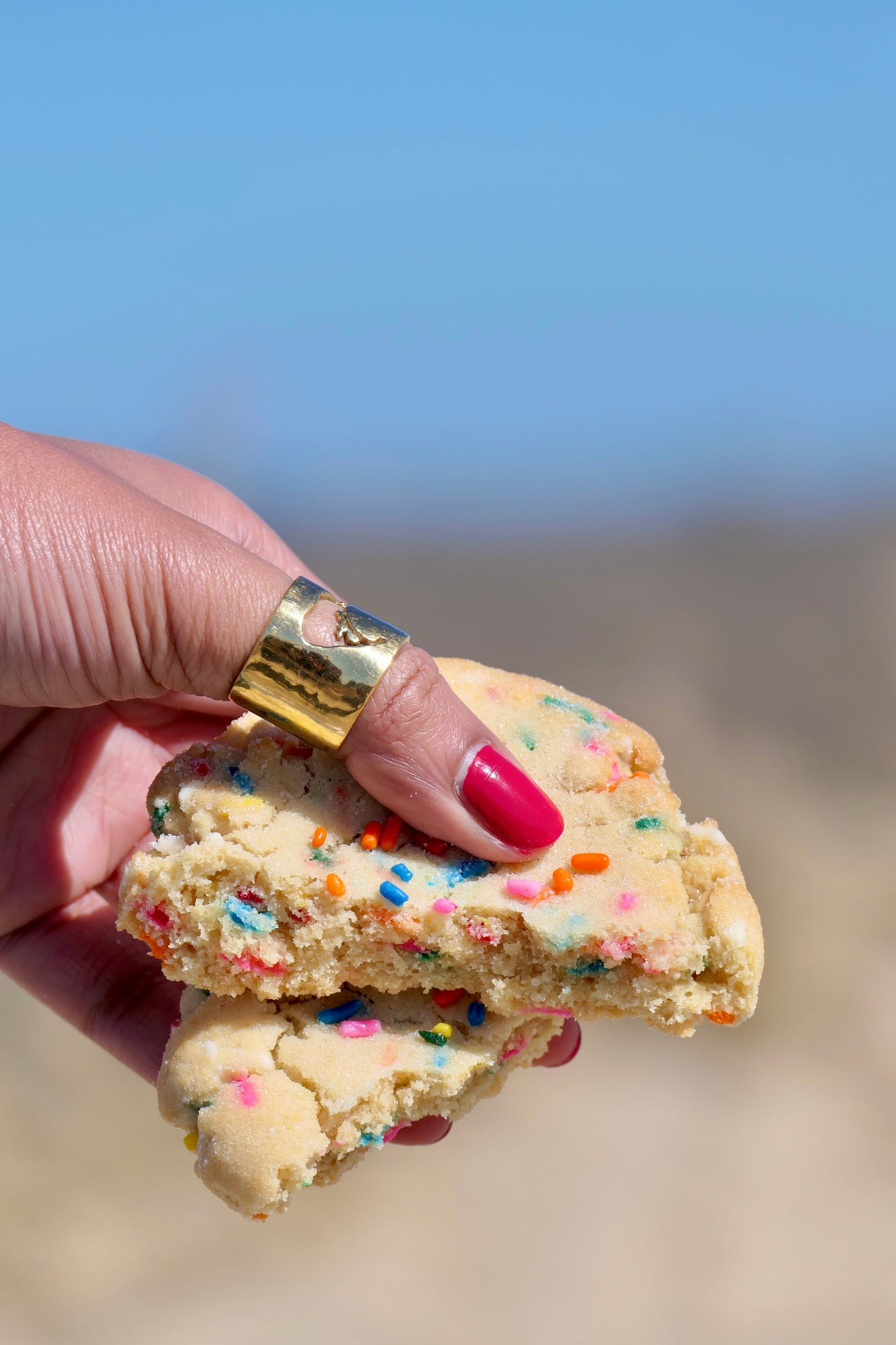 The Madaket Cookie