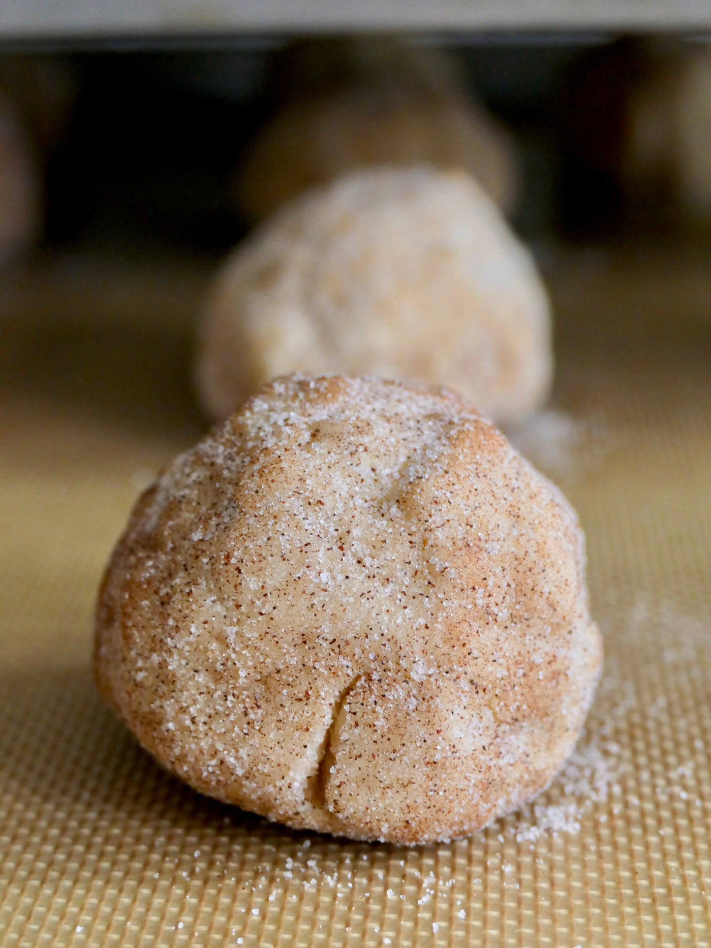 The Dionis Cookie