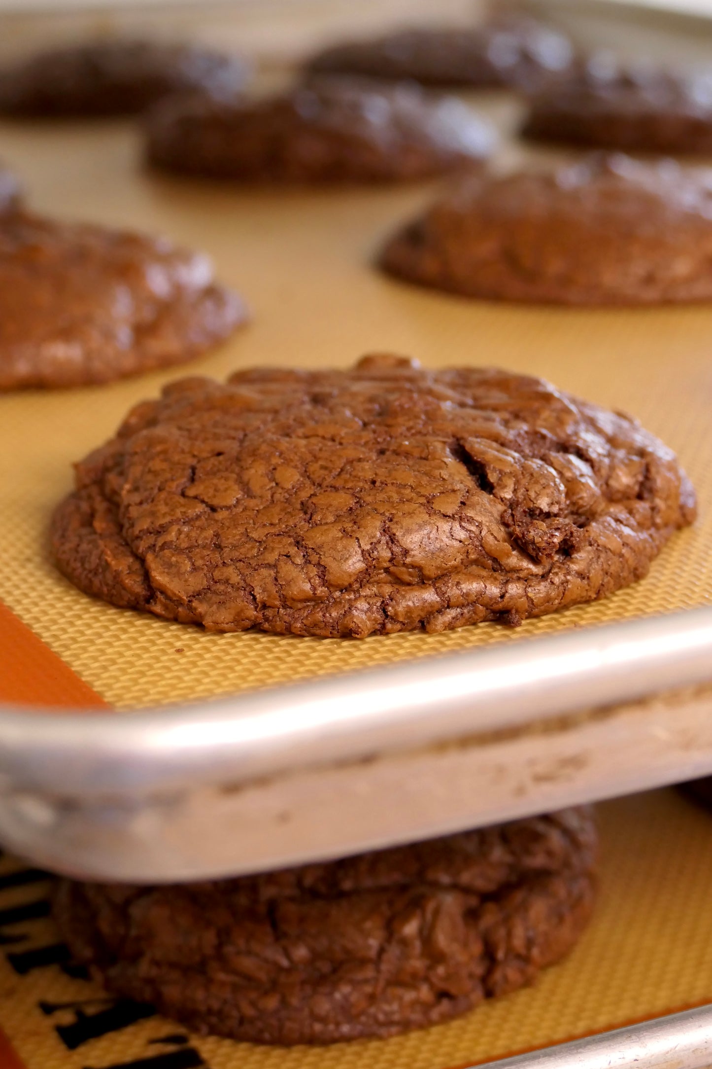 The Nantucket Nugget Cookie