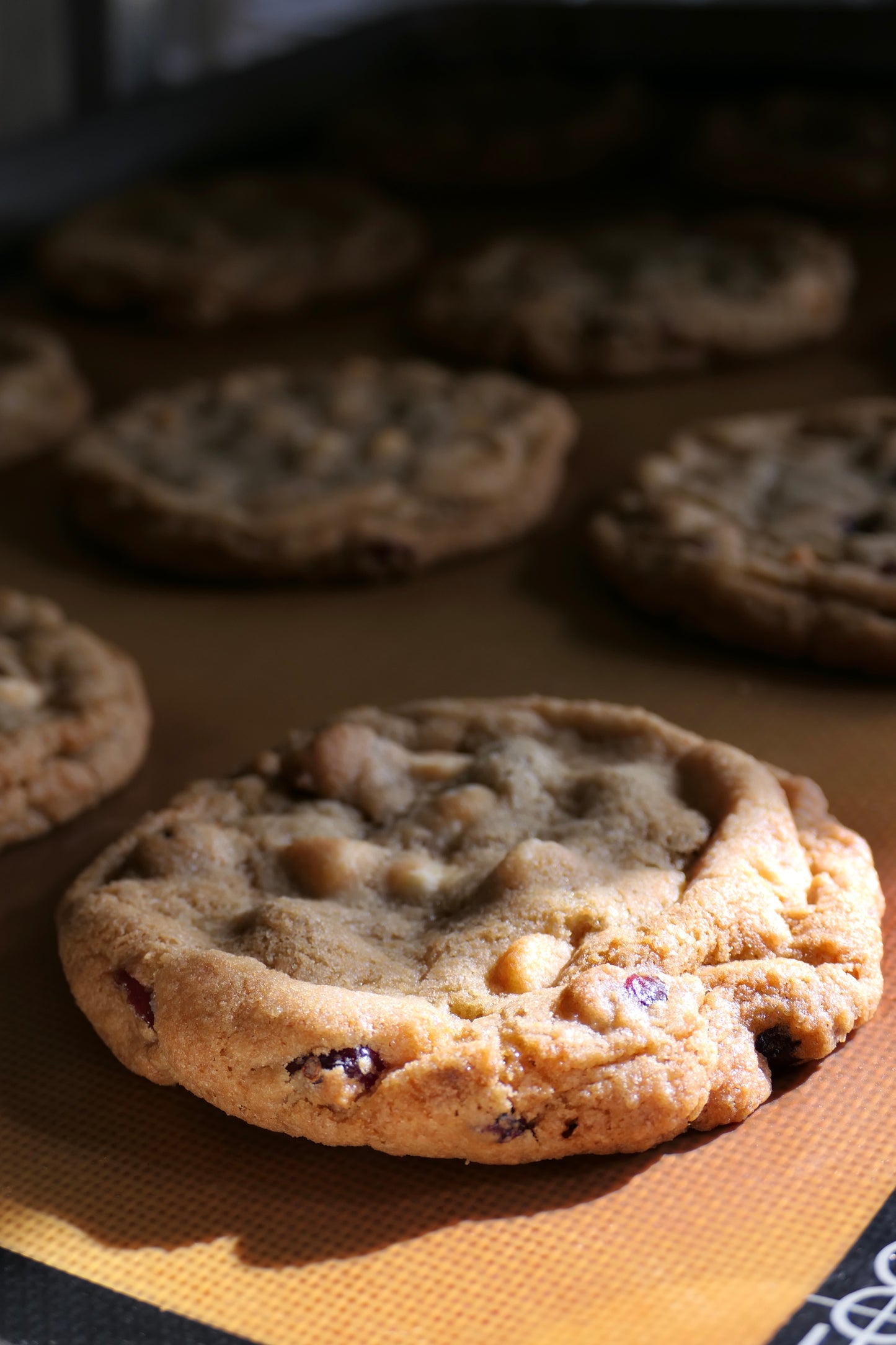 The Polpis Cookie