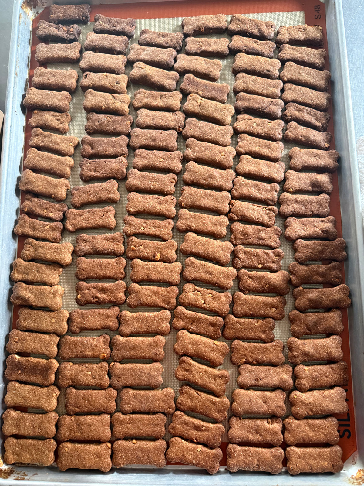 Nantucket Bound Biscuits